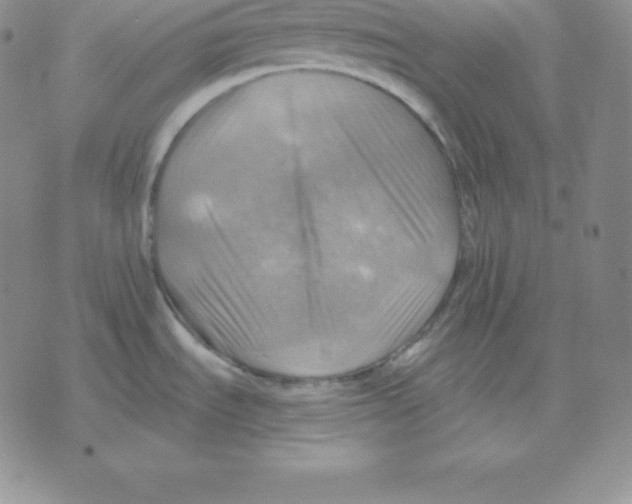 X0000075831535200610151507