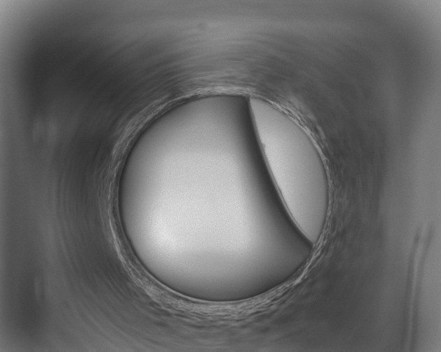 X0000075840001200609150924