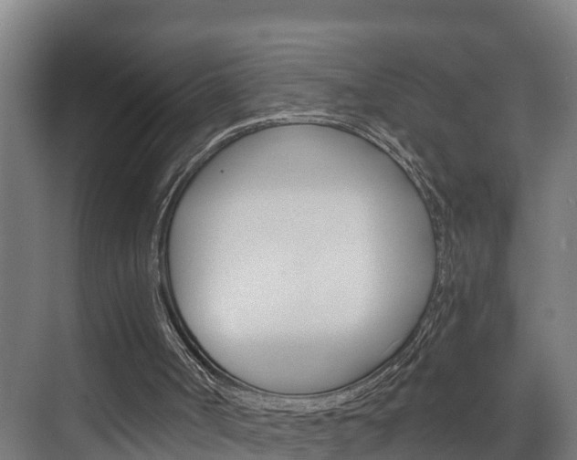 X0000075840002200609150924