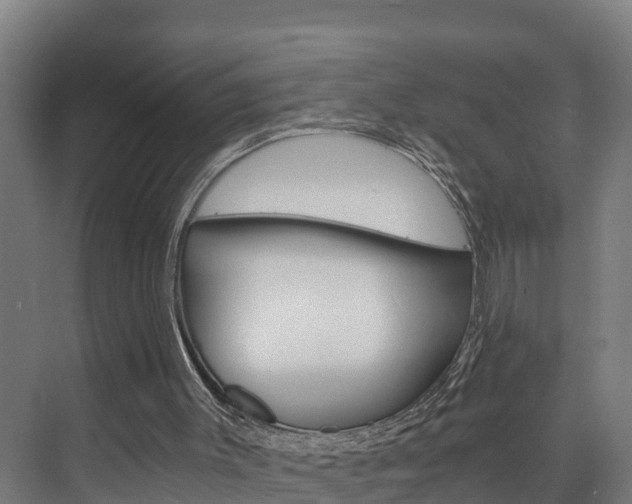 X0000075840003200609150924