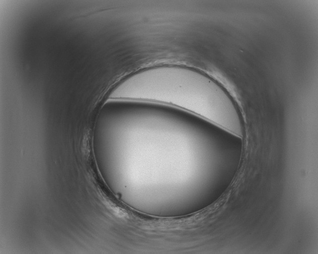 X0000075840009200609150924