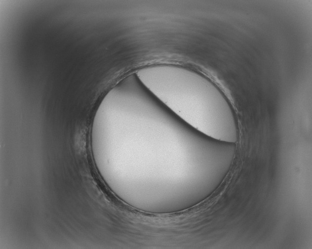 X0000075840010200609150924