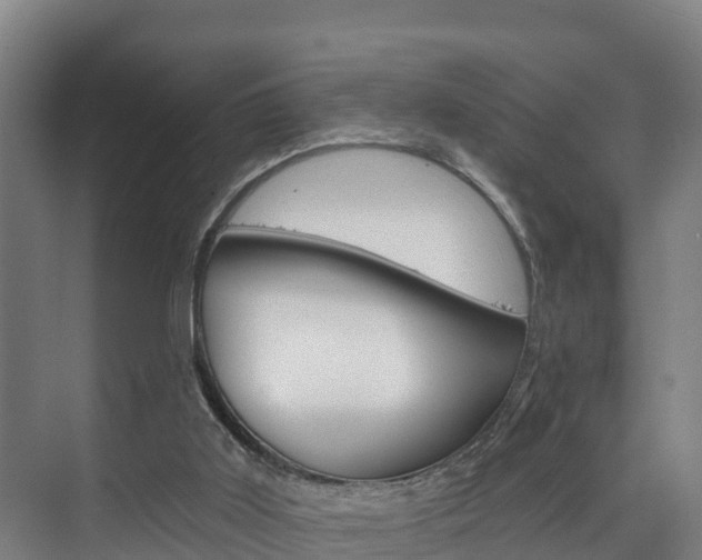 X0000075840011200609150923