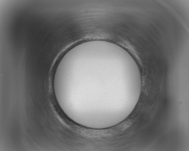 X0000075840012200609150923