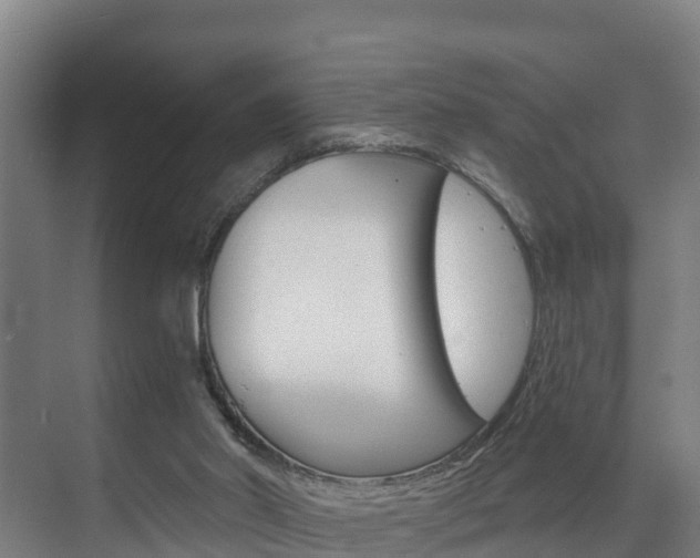 X0000075840014200609150923