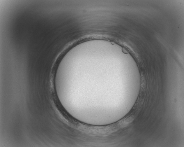 X0000075840016200609150923