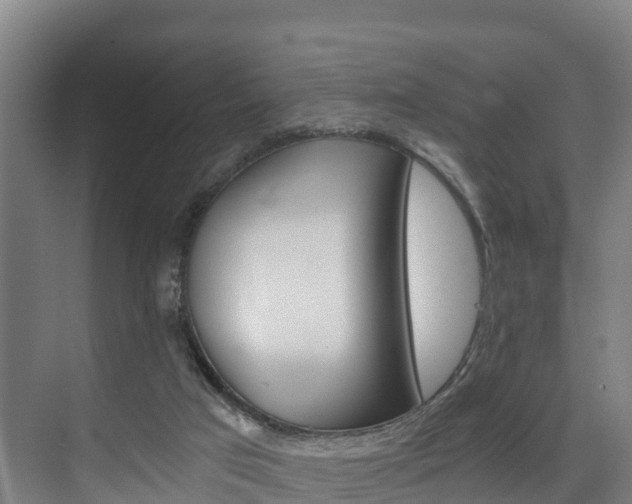 X0000075840017200609150923