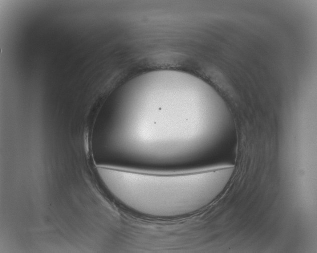 X0000075840021200609150923