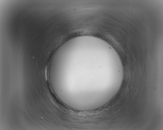 X0000075840022200609150923