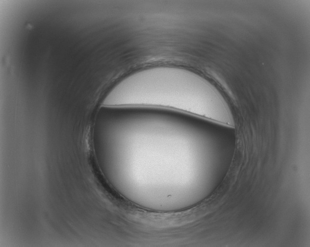 X0000075840023200609150923