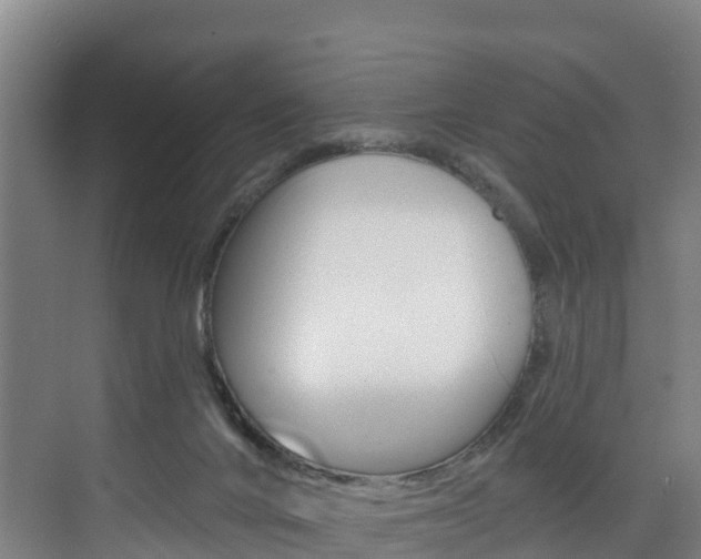 X0000075840024200609150923