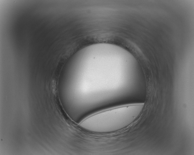 X0000075840025200609150923