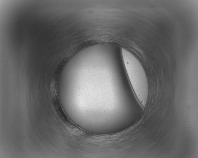 X0000075840029200609150923