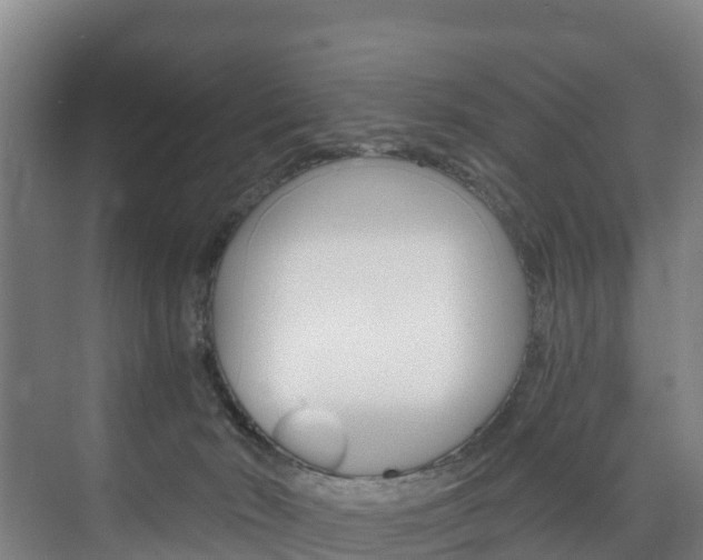 X0000075840030200609150923