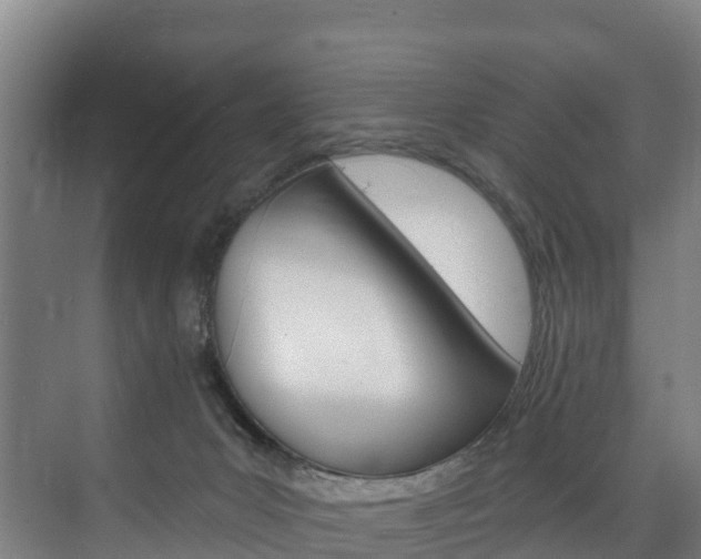 X0000075840031200609150923