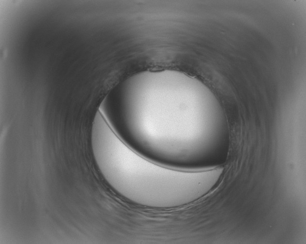 X0000075840033200609150923