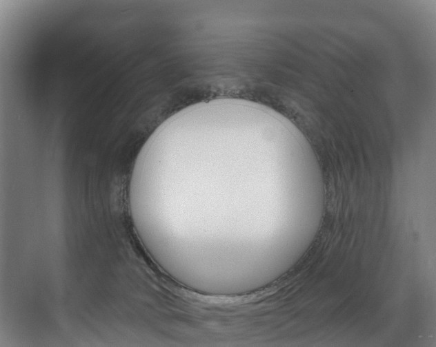 X0000075840034200609150923