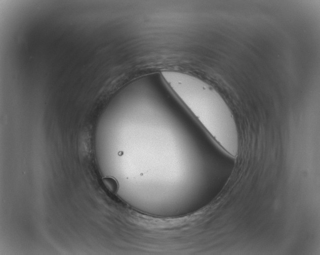 X0000075840035200609150923