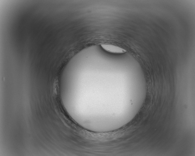 X0000075840038200609150923