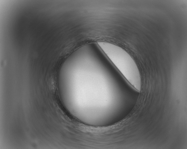 X0000075840039200609150923