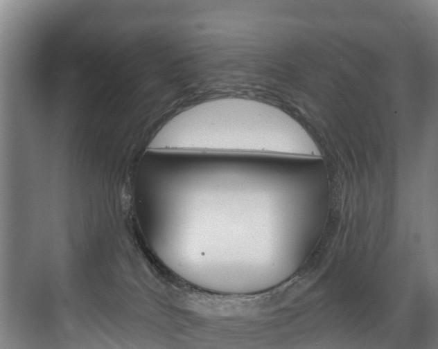 X0000075840040200609150923