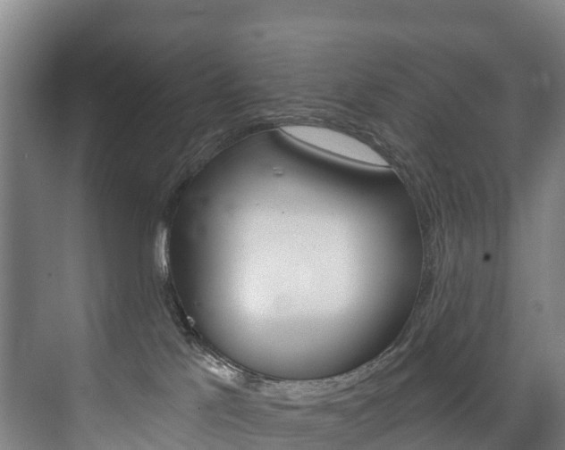 X0000075840041200609150923