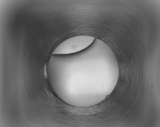 X0000075840042200609150923