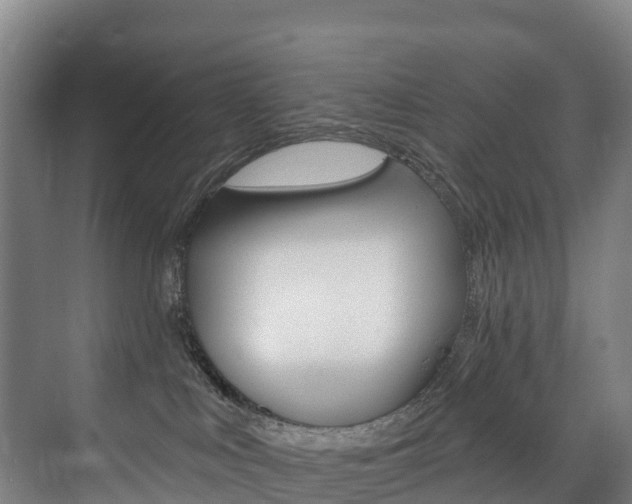 X0000075840043200609150923