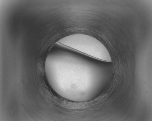 X0000075840044200609150923