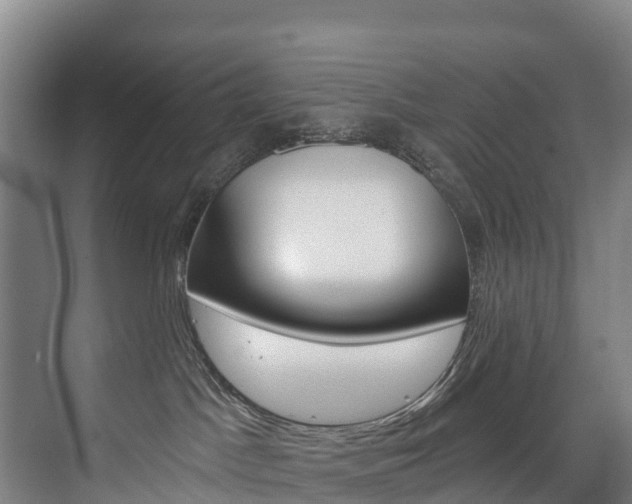 X0000075840045200609150923