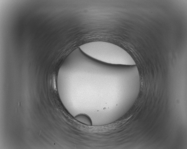 X0000075840046200609150923