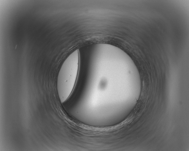 X0000075840048200609150923