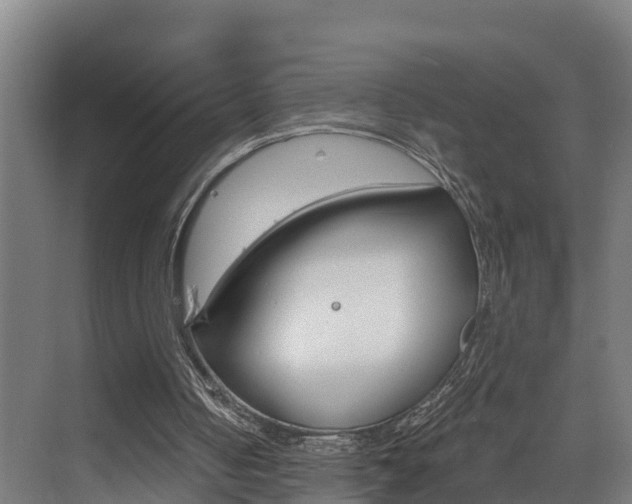 X0000075840050200609150922