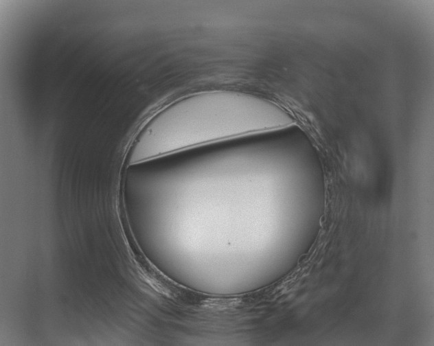 X0000075840051200609150922