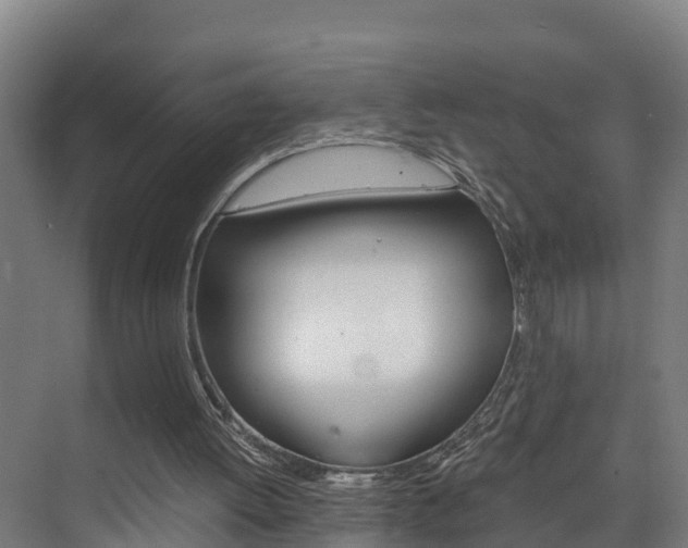 X0000075840052200609150922