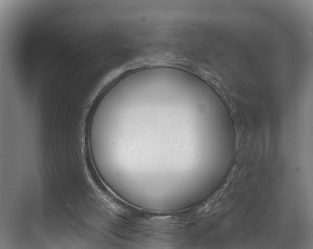 X0000075840054200609150922