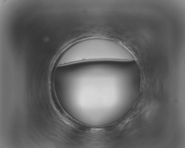 X0000075840055200609150922