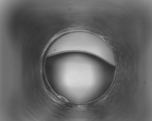 X0000075840056200609150922