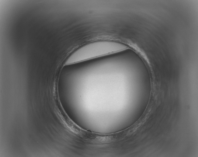 X0000075840057200609150922