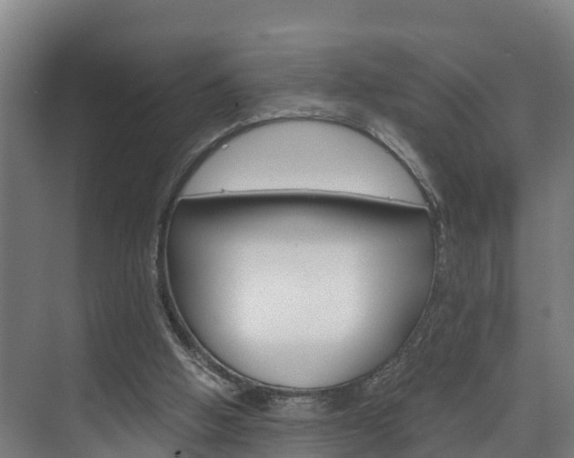 X0000075840058200609150922