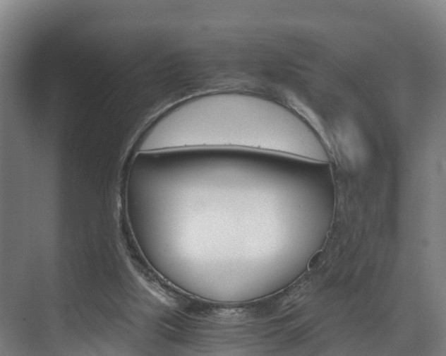 X0000075840059200609150922