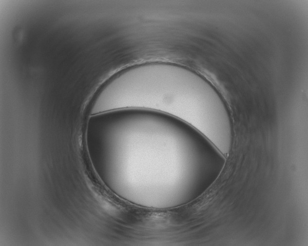 X0000075840060200609150922