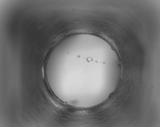 X0000075840061200609150922