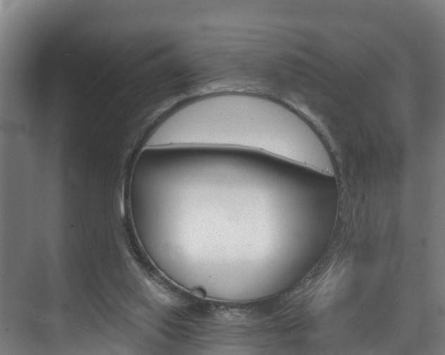 X0000075840062200609150922