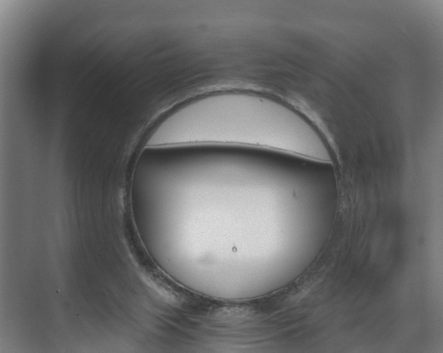 X0000075840063200609150922