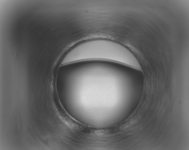 X0000075840064200609150922