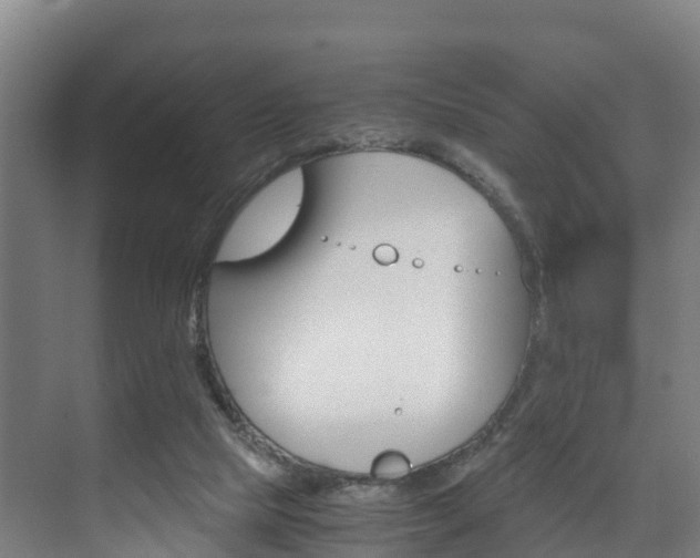 X0000075840065200609150922