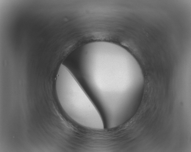 X0000075840066200609150922