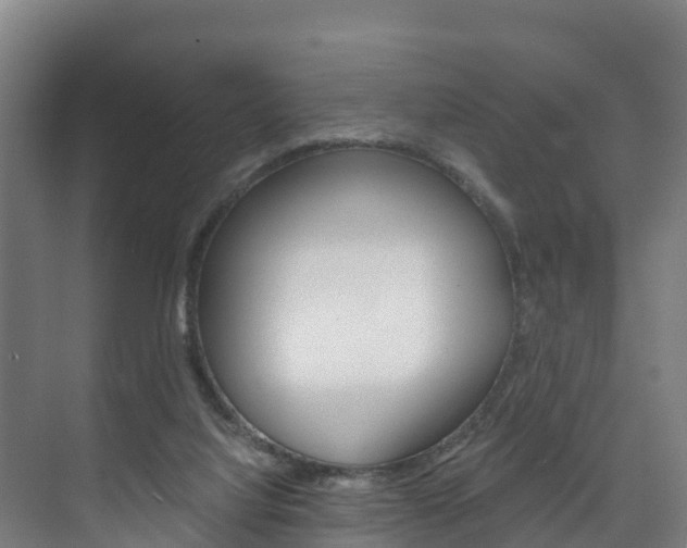 X0000075840068200609150922