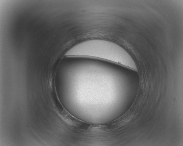 X0000075840072200609150922